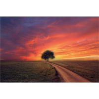 Uitverkoop van diamondpaintingshop.be